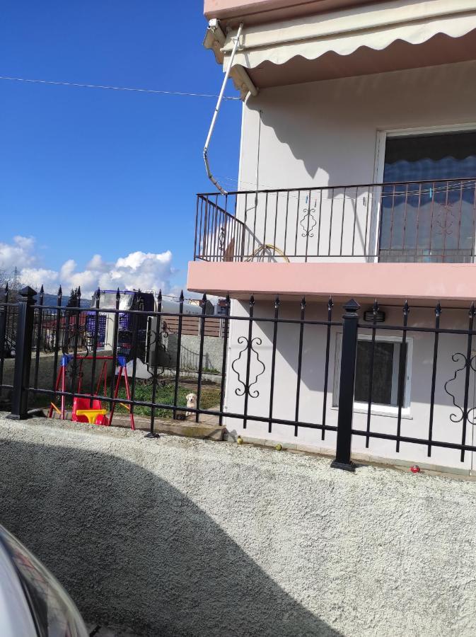 Amaltheia Studio Apartment Ioannina Luaran gambar