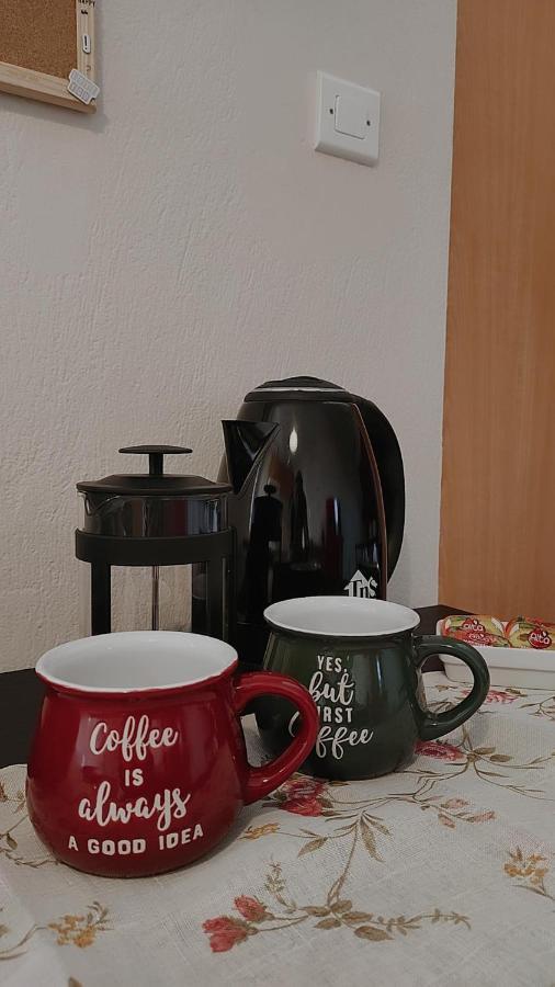 Amaltheia Studio Apartment Ioannina Luaran gambar